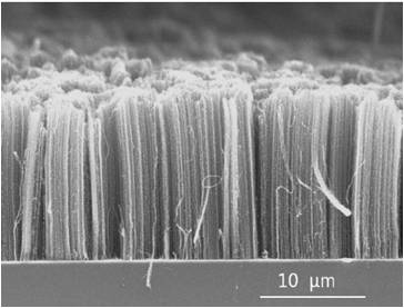 Carbon Nanotubes The purpose of this proposal is to support the manufacturing efforts of the Favored Client named above (now referred to as “Sponsor”) by providing guidance, consultation and navigation within the United State Environmental Protection Agency’s Premanufacture Notice (PMN) and Significant New Use Notice (SNUN) regulatory framework. The scope of activity involves the introduction of Carbon Nanotube importing and manufacturing to Sponsor operations within the United States and relates specifically to those chemical substances specified by Sponsor.