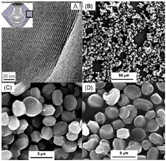 Nanoporous Silica Materials