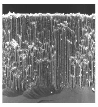 Nanoporous Silica Microimage