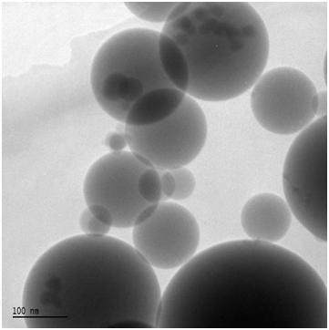 Fumed Silica Particulate