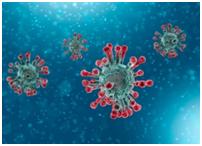Viral Testing Cartridges
