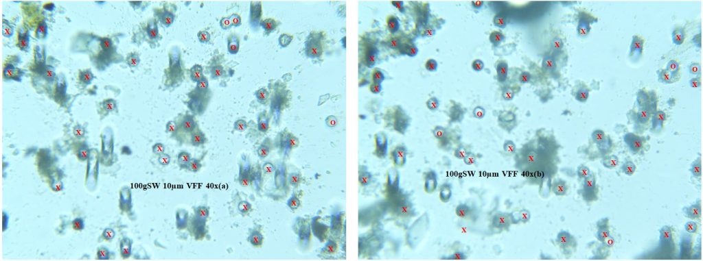 VFF Starting Weight Study; 100g SW 10µm VFF 40x (a-b) VFF Starting Weight Study; 100g SW 10µm VFF 40x (a-b)