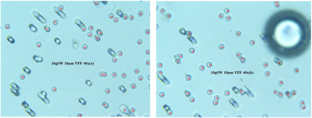 VFF Starting Weight Study; 10g SW 10µm VFF 40x (a-b) VFF Starting Weight Study; 10g SW 10µm VFF 40x (a-b)