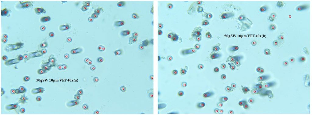 VFF Starting Weight Study; 50g SW 10µm VFF 40x (a-b) VFF Starting Weight Study; 50g SW 10µm VFF 40x (a-b)