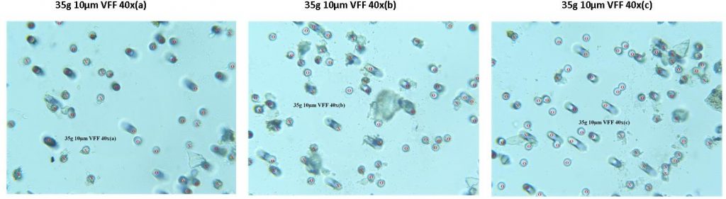 Whole Grain Sand VFF Filter Clearance - Microscopy Detail Whole Grain Sand VFF Filter Clearance - Microscopy Detail