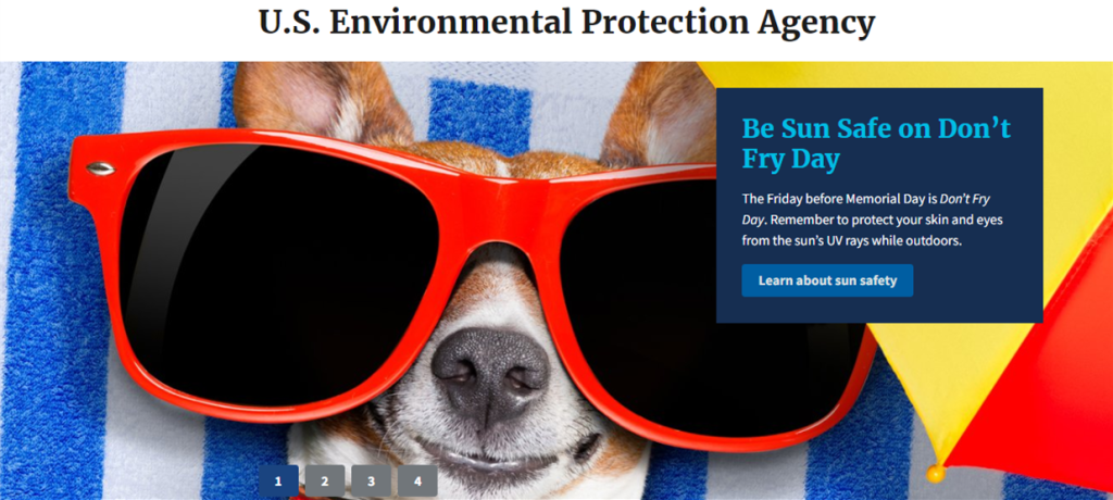 A dog wearing large red sunglasses, accompanied by a message from the U.S. Environmental Protection Agency promoting sun safety on "Don't Fry Day," encouraging skin and eye protection from UV rays.